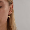 XILITLA Hook Earrings in either 9ct Yellow Gold or 18ct Yellow Gold