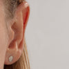 Beyond Gender Large & Small Stud Earrings in Silver